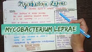 Mycobacterium Leprae  Part 1  Clinical features  diagnosis amp treatment  MICROBIOLOGY [upl. by Ji]