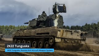 2K22 Tunguska Russian Anti Aircraft Weapon System [upl. by Cirdnek]