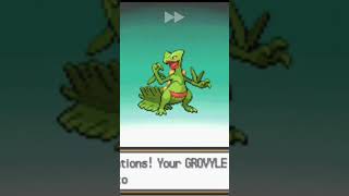 Grovyle is evolving Pokemon heartgoldPkmn worldpokemon sceptile pkmnworld pokemonevolution [upl. by Raval]