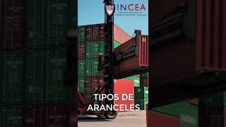 Tipos de aranceles [upl. by Wie103]