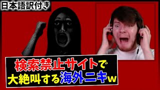 【ふぁんしーあいらんど】日本の最恐ホラーサイトで大絶叫する海外ニキｗｗ【日本語字幕】 [upl. by Eardnoed]