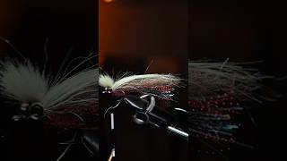 A Top Warm Water Fly Pattern flyfishinglife bassflies flyingbeast shorts [upl. by Siusan341]