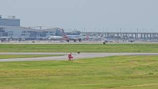 DFW July 15 2024 midday couple of planes 1 [upl. by Olfe465]