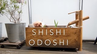 DIY Shishi Odoshi [upl. by Dusty]