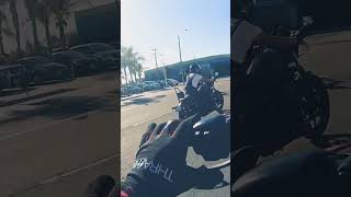 Mobbing through Santa Ana on Harley Davisons on a Sunday morning just hits different 🌞 🎥Bean [upl. by Eniroc]