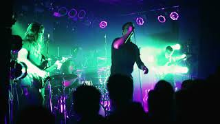 The Contortionist  Reimagined Live [upl. by Candace]