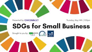 SDGs for Small Business Webinar [upl. by Evin918]