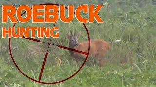 HUNTING ROE BUCK in France  Chasse au Brocard Cheuvreuil en France  2014 [upl. by Abrams100]