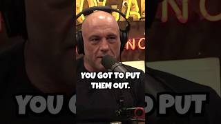 What Do YOU Want ME to DO  Joe Rogan amp Sebastian Maniscalco joerogan podcast jre [upl. by Nolan]