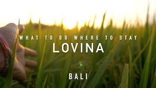 LOVINA WHAT TO DO WHERE TO GO BALI [upl. by Zertnom839]