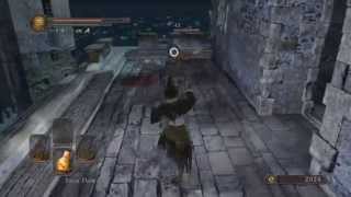 DARK SOULS 2  ALL Dual Wielded Weapons and Move Sets [upl. by Icyac]