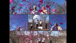 One of a Kind Parachute Confetti Cannon Gender Reveal Only at PoofThereItIscom [upl. by Aer]