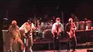 Slightly Stoopid  Ever Really WantedOlder with Fishbone [upl. by Rabelais]