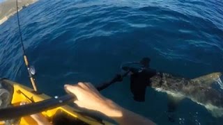 Hammerhead Shark Attacks Kayak Fisherman [upl. by Arvie147]