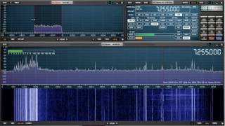 SDRplay running SDRuno with a 10 MHz span of spectrum  W1AEX [upl. by Anoik]