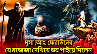 মুসা নবীর যে মজেযা দেখে ফেরাউন মুসার কাছে প্রাণ ভিক্ষা চাইলেন mucha nobir jiboniislamik [upl. by Geiger]