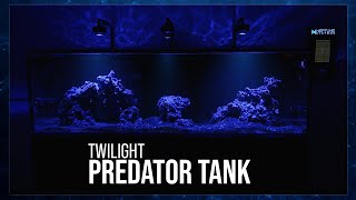 Week 2 Twilight Predator Tank  A Deadly Elegance  52SE [upl. by Ecile221]