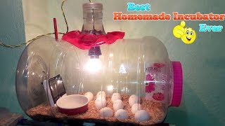 DIY  HOMEMADE INCUBATOR  HOW TO MAKE AN EGG INCUBATOR  HATCHING CHICKEN EGGS [upl. by Andeee]