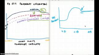 564 FA 12  DIFFUSION AND PERFUSION LIMITED [upl. by Abra]