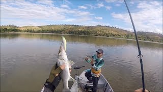 O RIO QUE TEM MAIS ROBALO NO ESPÍRITO SANTO Conhecem [upl. by Eitsyrk]