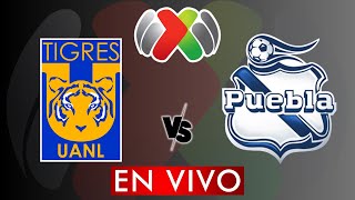 TIGRES VS PUEBLA EN VIVO  LIGA MX APERTURA 2024  JORNADA 11  DONDE VER EN VIVO [upl. by Inverson405]