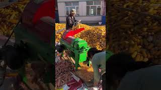 Xinda Agricultural Machinery household corn thresher quality leverage foryou viralvideo yeka [upl. by Dde166]