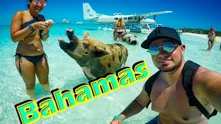 Bahamas Exuma Swimming Pigs Travel Video [upl. by Liartnod]