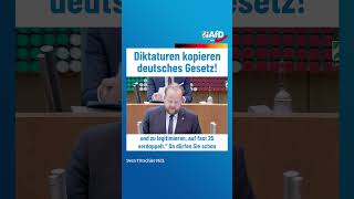 Diktaturen kopieren deutsches Gesetz afd ltnrw [upl. by Amund986]