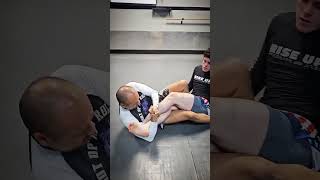 BJJ FLOWS bjj shortsfeed jiujitsu fyp martialarts [upl. by Zailer803]