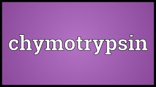 Chymotrypsin Meaning [upl. by Aisatal]