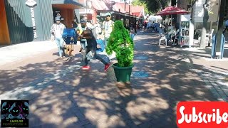 Bushman pranks 🤣😂 Cape Town Waterfront 👌 [upl. by Antonino]