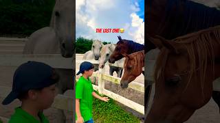 Definitely watch until the end😂😍🥰 horse horses horselover [upl. by Sharline]