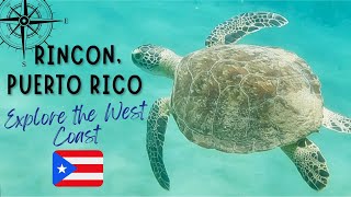 RINCON PUERTO RICO SURF SNORKEL RELAX REPEAT THE WEST IS THE BEST Plus AGUADILLA AND ISABELA [upl. by Bleier]