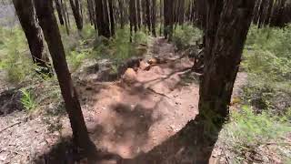 241027 MTB Jarrahdale Fox [upl. by Charin895]