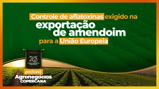 Controle de aflatoxinas exigido na exportação de amendoim para a União Europeia [upl. by Beilul278]