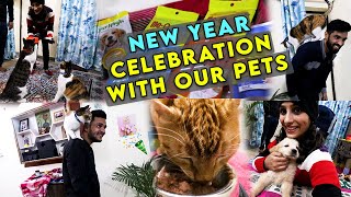 NEW YEAR CELEBRATION WITH OUR PETS  THE PAWS FAMILY [upl. by Almita]