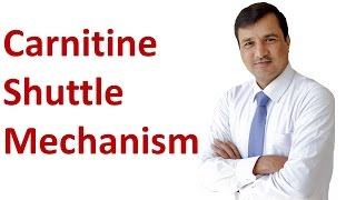 Carnitine Shuttle Mechanism [upl. by Henriques]