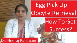 IVF Treatment  Egg Pickup Day  How To Get Success In Oocyte Retrieval [upl. by Acinomahs168]