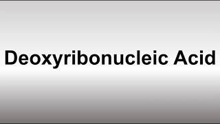 How to Pronounce Deoxyribonucleic Acid DNA [upl. by Ordisy766]