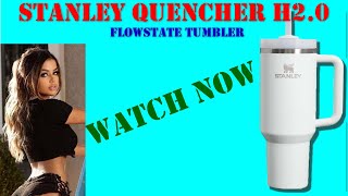 Stanley Quencher H2 0 FlowState Tumbler [upl. by Yeliak435]