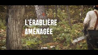 Lérablière aménagée [upl. by Mcroberts]