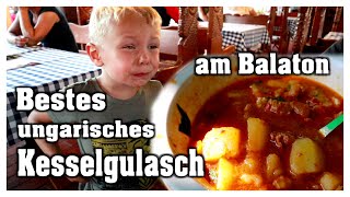 Wir suchen das beste original Kesselgulasch in Ungarn  VLOG  Hobbyfamilie [upl. by Larcher894]