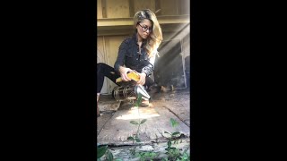 The Bee Removal Video That Went Viral on TikTok [upl. by Akenal374]