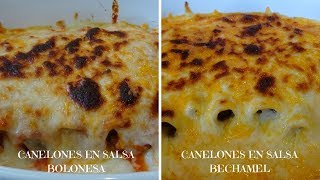 CANELONES RELLENOS DE CARNE DE RES MOLIDA Y QUESO FACILES DE HACER DOS VERSIONES [upl. by Tini]