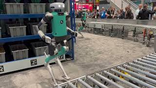 Agility Robotics Digit robot [upl. by Atenaz315]