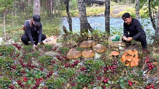 MUSHROOMS AND BERRIES FORAGING SEASON FUNGHI PORCINI SHEEP POLYPORE CHANTERELLES LINGONBERRIES [upl. by Eilema313]