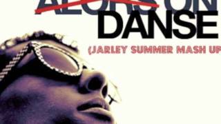 Avicii vs Stromae  Levels On Danse Jarley Summer Mash Up [upl. by Pucida]