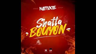 NATOXIE  SHATTA BOUYON [upl. by Aneehsak7]