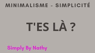 115  Minimalisme  le plus important cest quoi [upl. by Ingra]