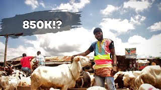 Price of Sallah Ram in 2024 In Ibadan Markets [upl. by Eninahs563]